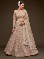 BEIGE LEHENGA CHOLI