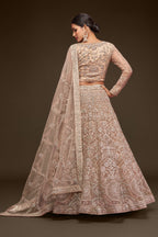 BEIGE LEHENGA CHOLI
