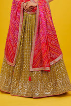 OLIVE LEHENGA CHOLI