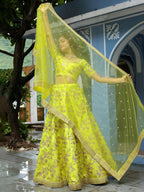 Neon Green Lehenga Choli