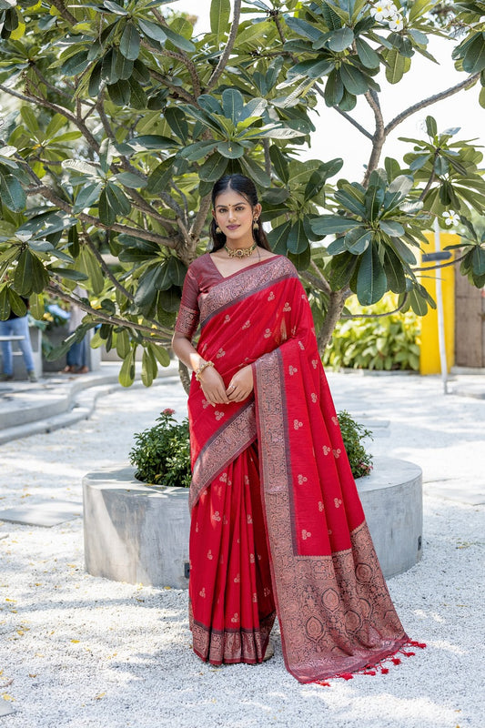 Apple Red Soft Banarasi Raw Silk Saree